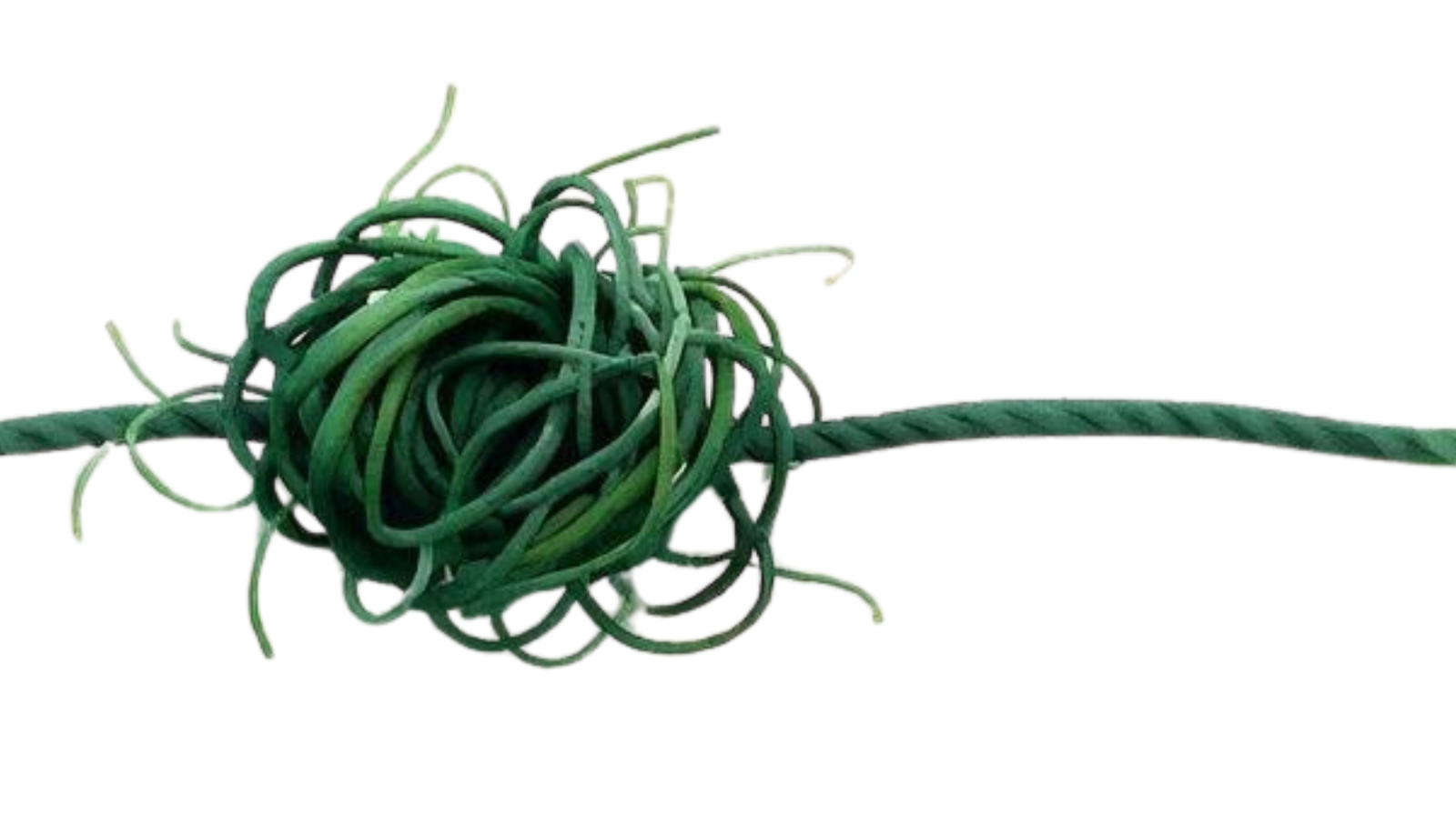 Untangle One Thing Knot – Cindy Gross | Befriending Dragons